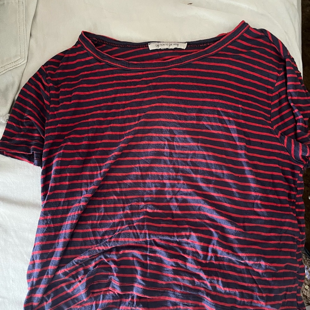 Pink and blue stripped crop top